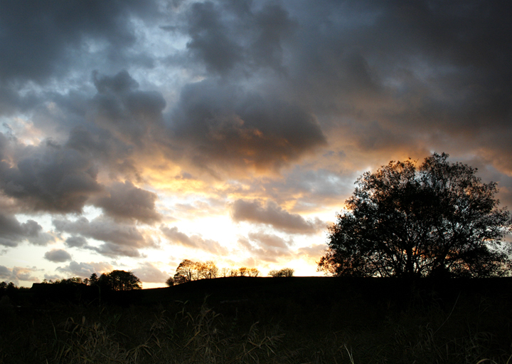 _MG_3311_redigerad-1