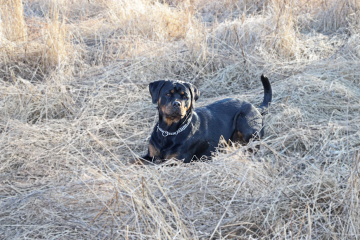 IMG_4581_redigerad-1