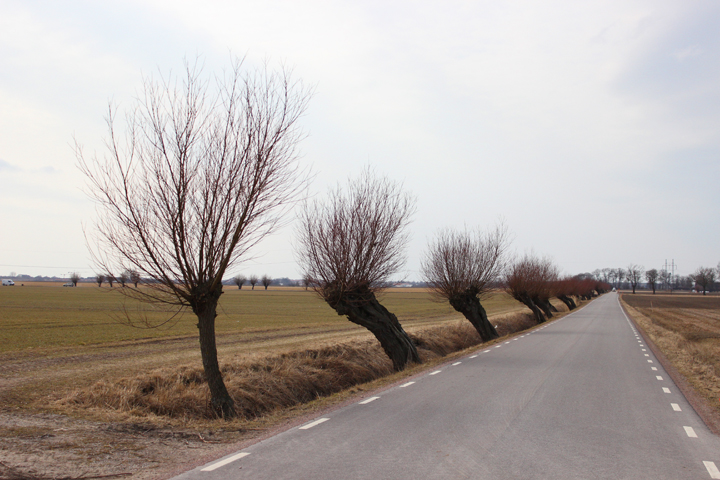 IMG_5659_redigerad-1