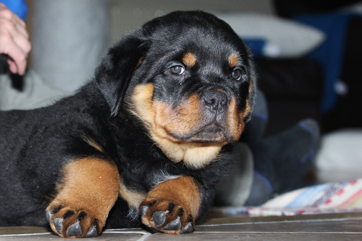 IMG_5715_redigerad-1