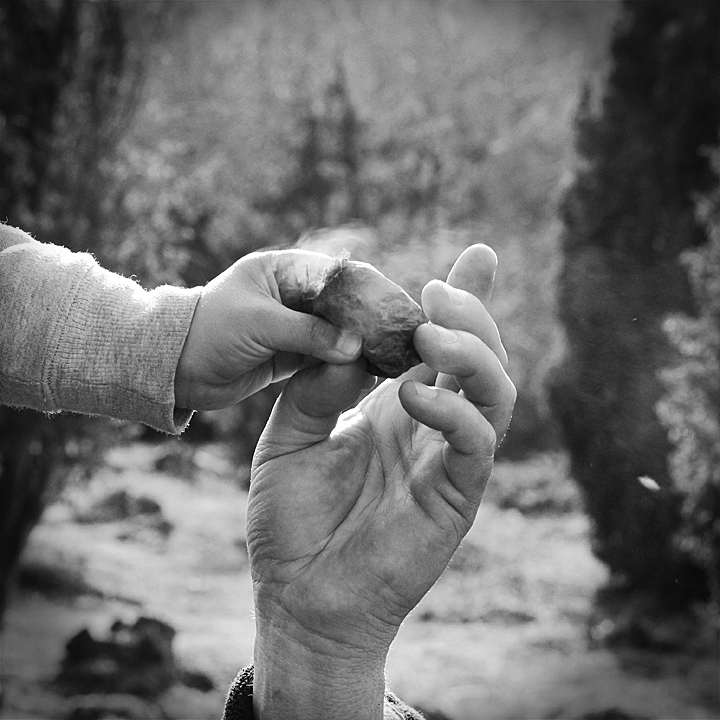 IMG_6679_redigerad-1