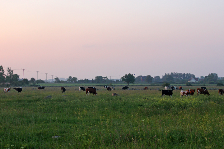 IMG_8717_redigerad-1