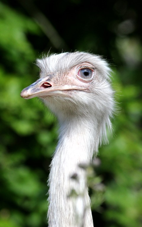 IMG_8943_redigerad-1