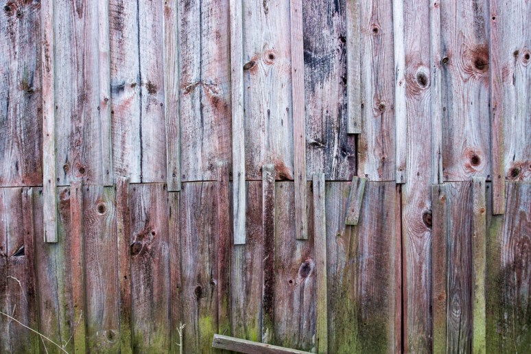 IMG_3648_redigerad-1