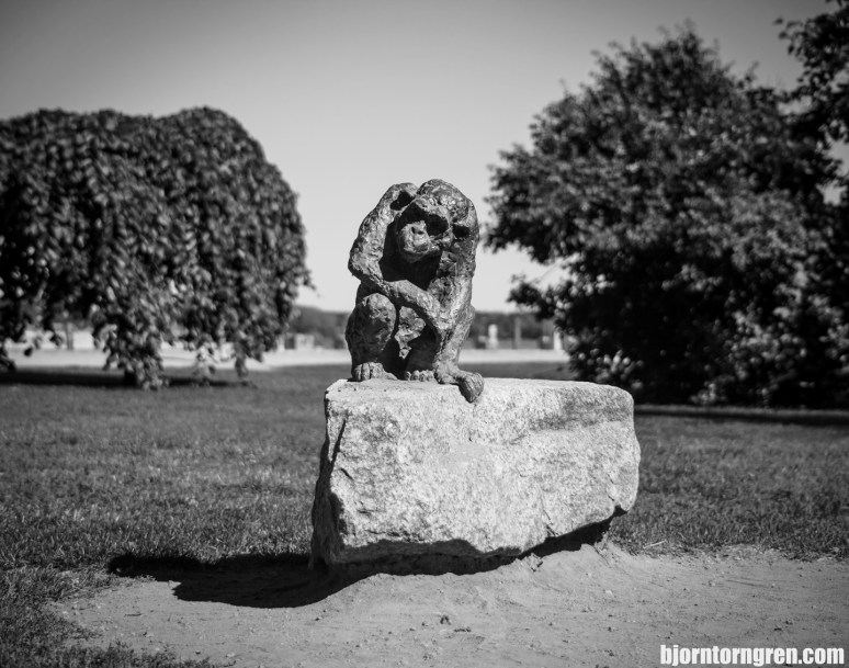 _MG_2388[1]3_redigerad-1