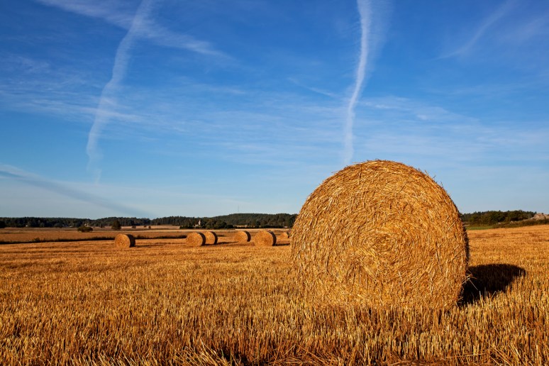 _MG_2704[1]_redigerad-1